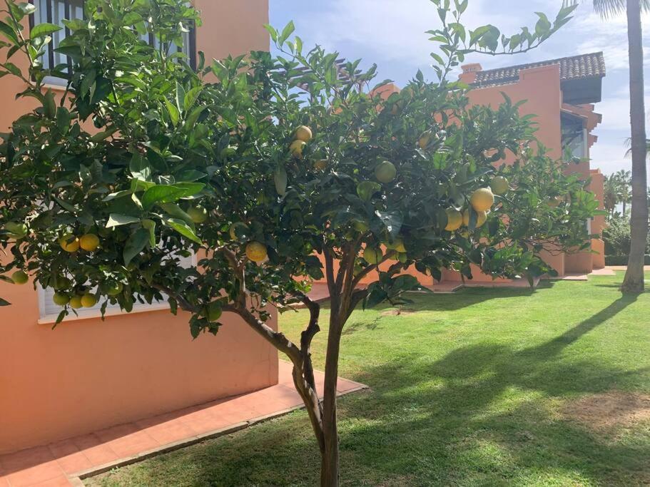 Schoenes Penthouse Mit Meerblick Pura Vida Bahia de Casares Eksteriør billede